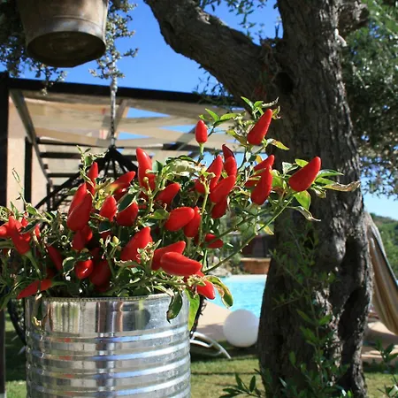 Resort Il Podere Dell'angelo Old *