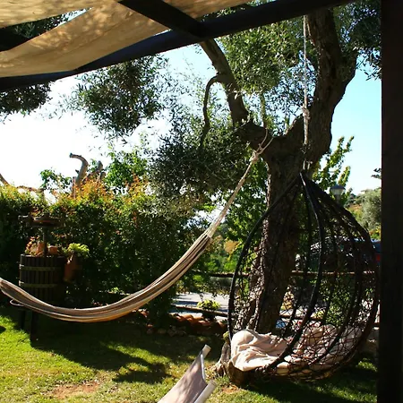 Il Podere Dell'angelo Old Belvedere Marittimo