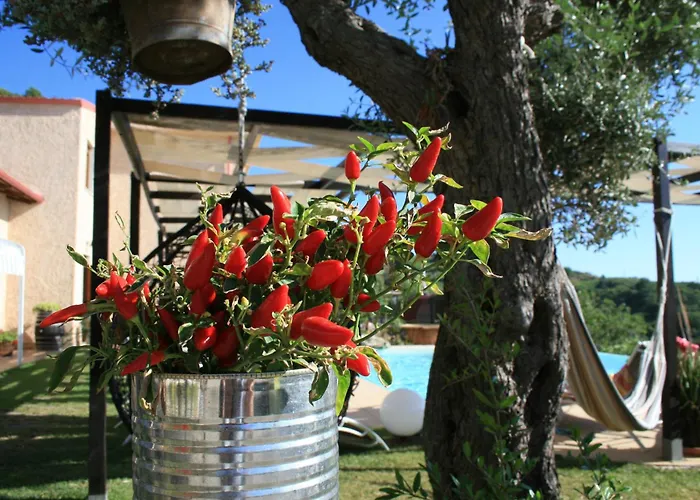 Resort Il Podere Dell'angelo Old *